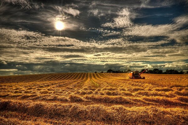 Harvesting on the field with a combine harvester