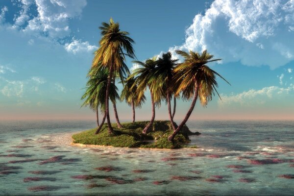 An uninhabited island with palm trees in the middle of the sea