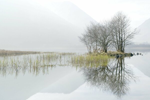 Morgensee und Nebel über dem Wasser