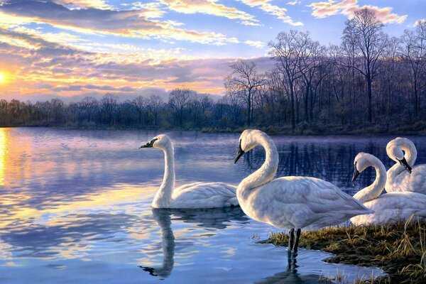 Art paysage cygnes sur le lac