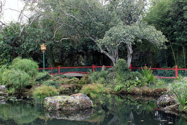 Teich im Park mit Brücke in China