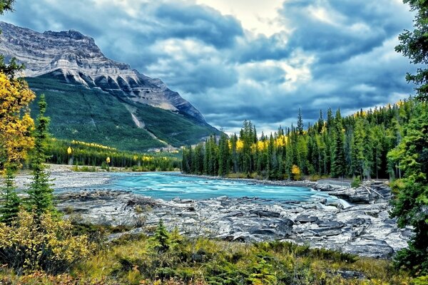 Rivière près de la forêt et des montagnes rocheuses