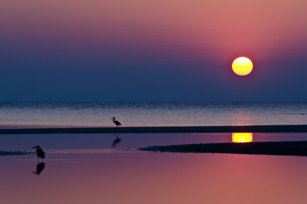 Einsame Sonne bei Sonnenuntergang