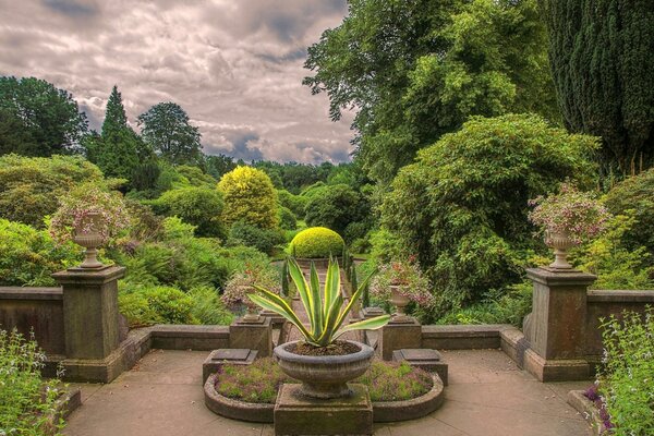 A park in England with green plants