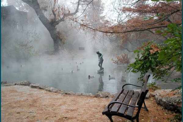 Niebla en el parque con estanque