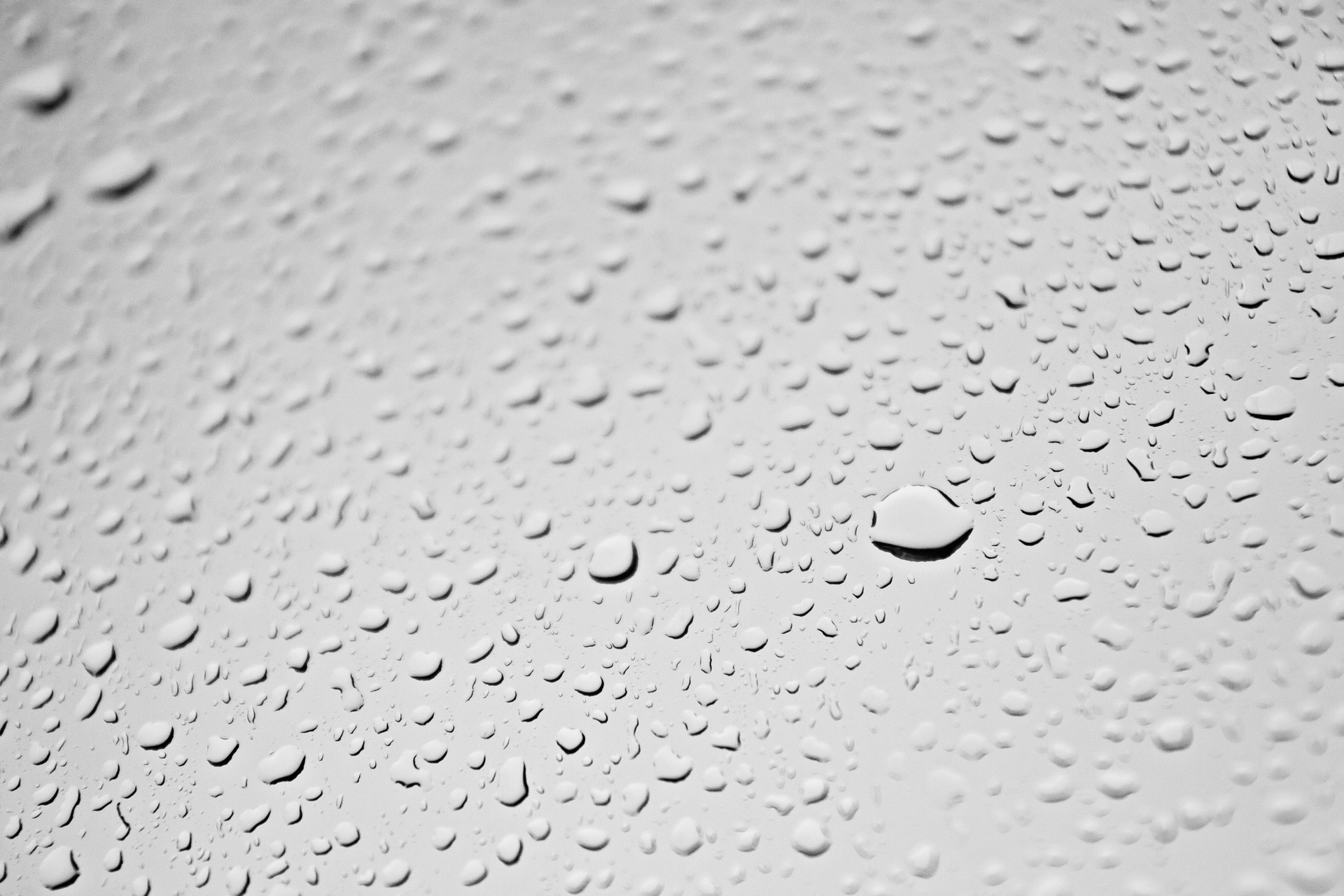 falls black and white count water drop