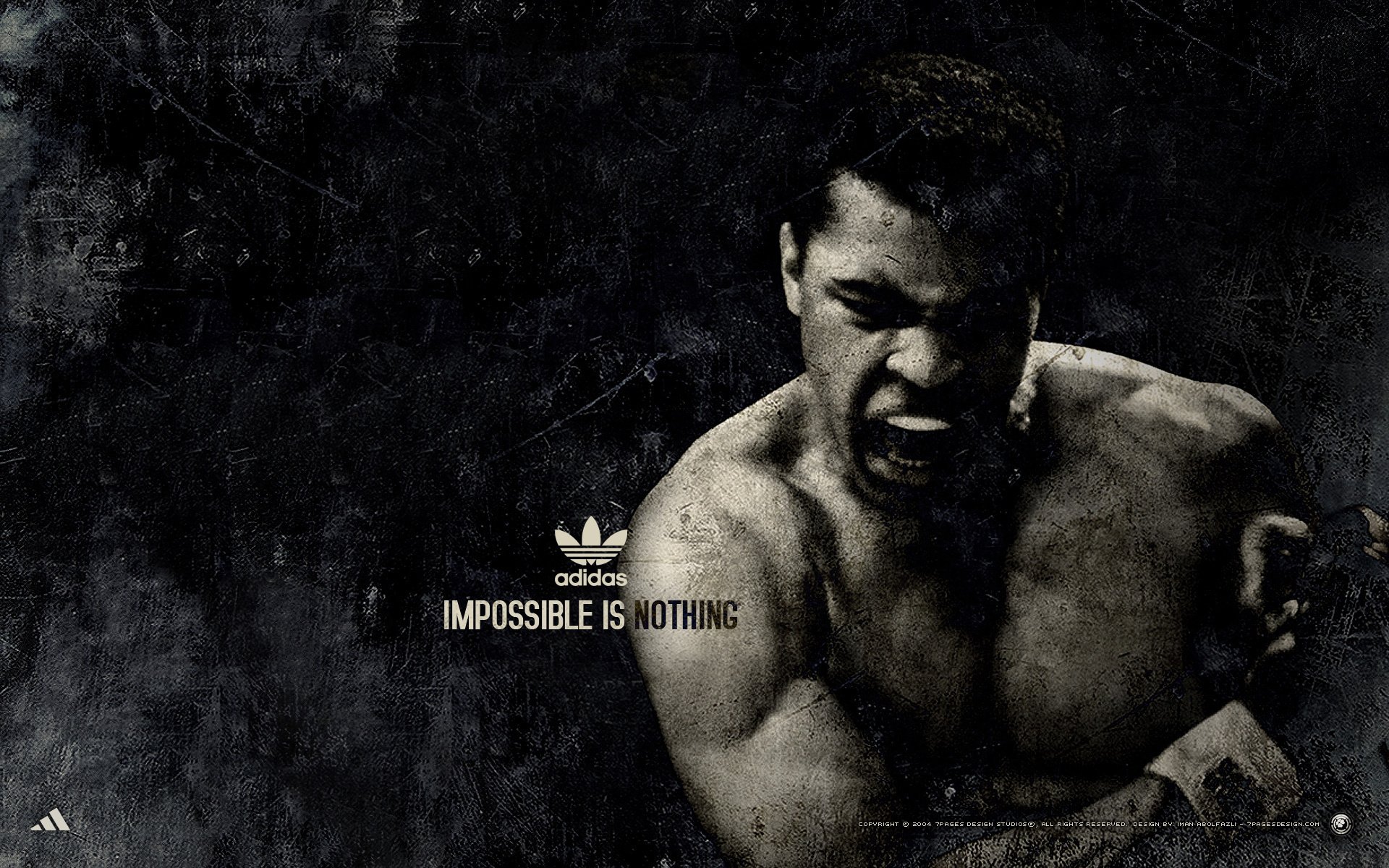 muhammad ali boxeador deporte adidas