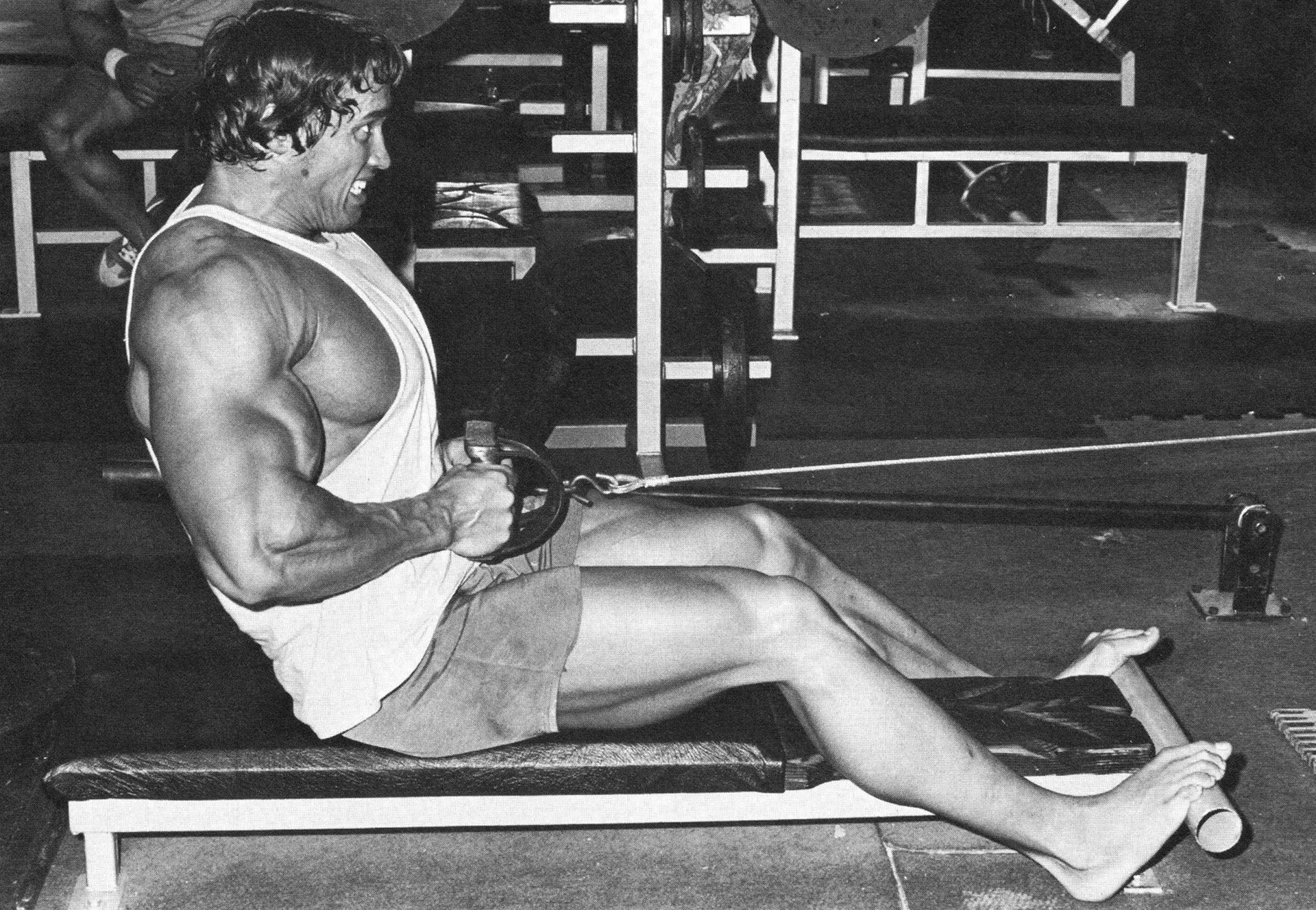 arnold schwarzenegger schwarzenegger arnold kulturysta aktor mężczyzna sport