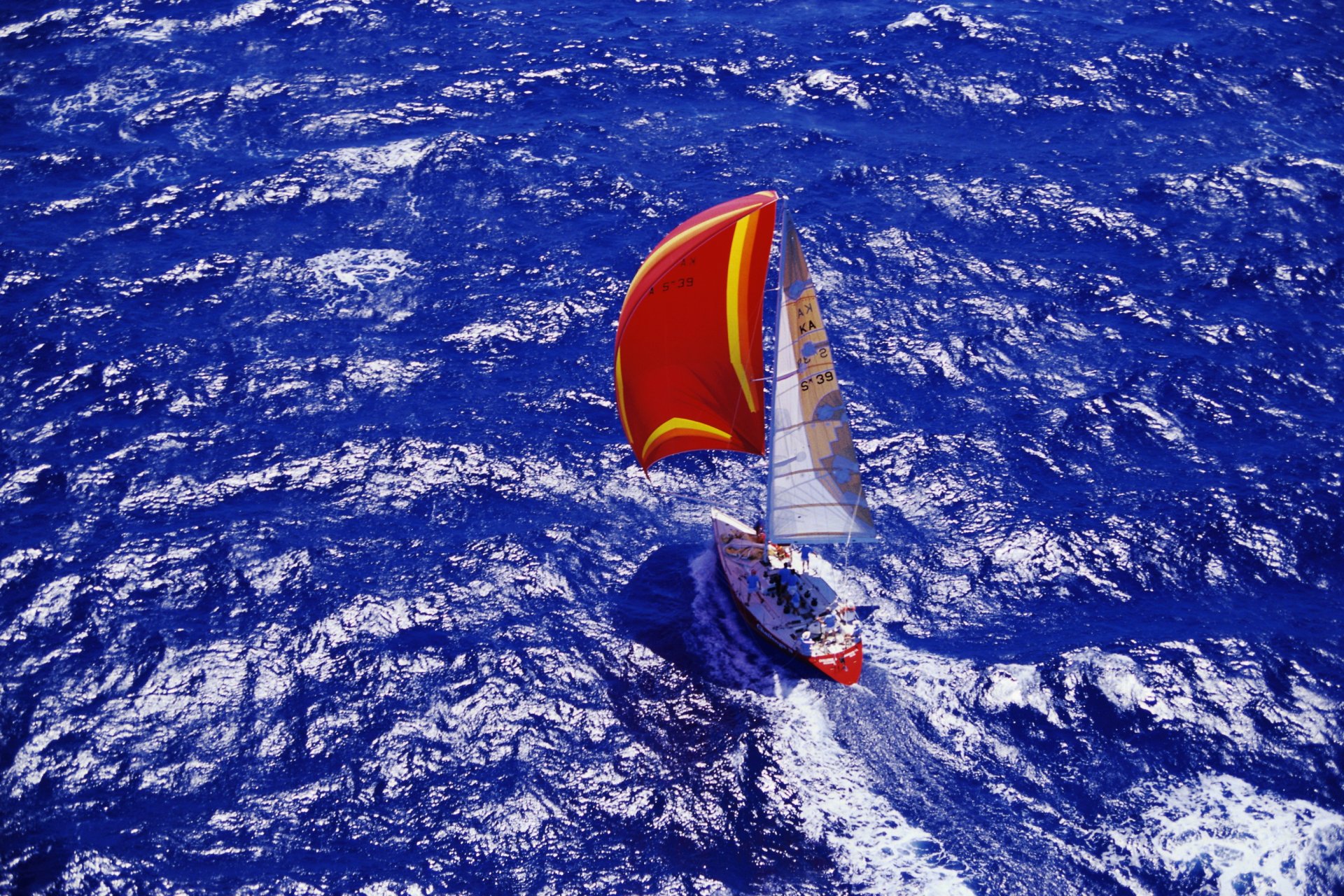 yacht sailboats from the top sea photo