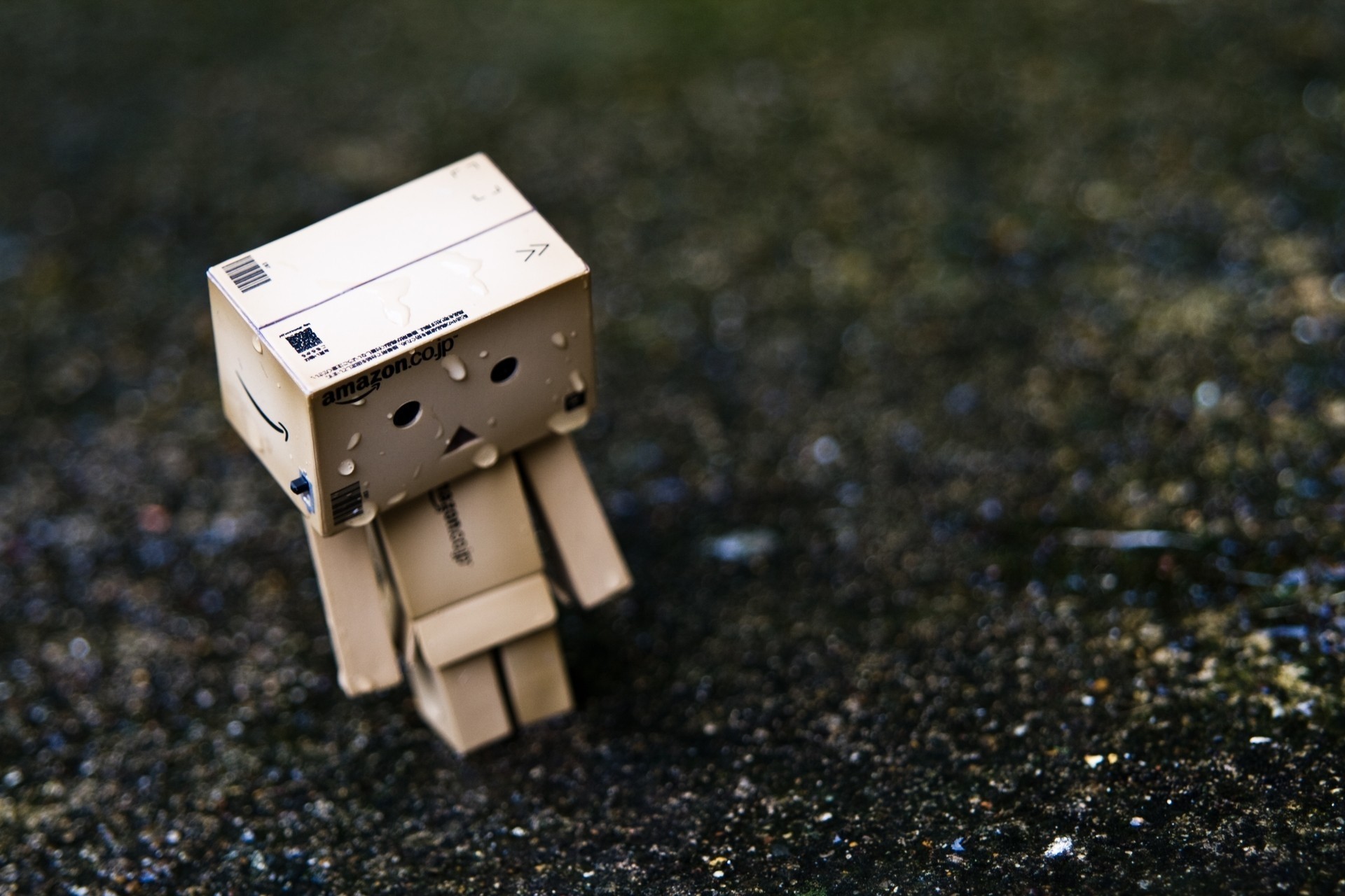 danbo дождь одинокий игрушки