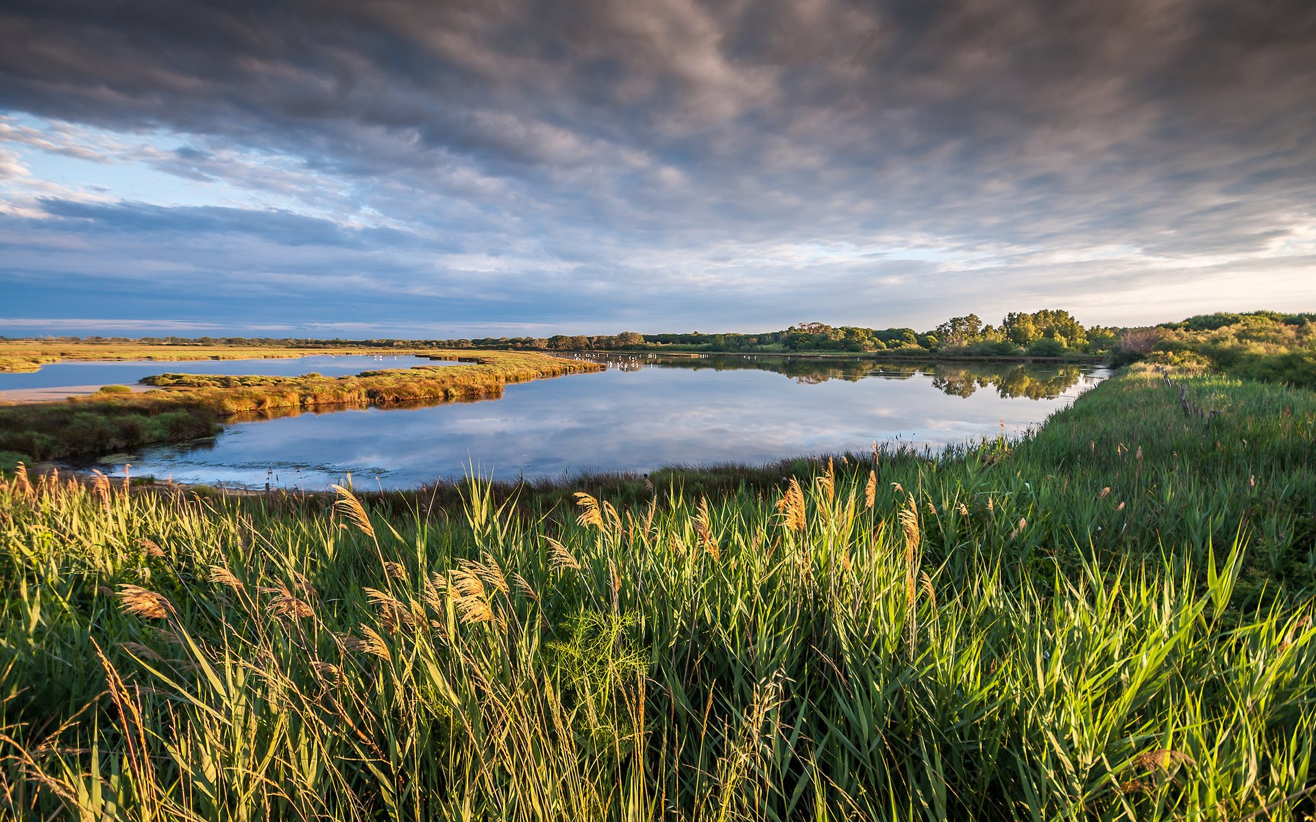 petite camargue landscape nature clouds the sky lake france