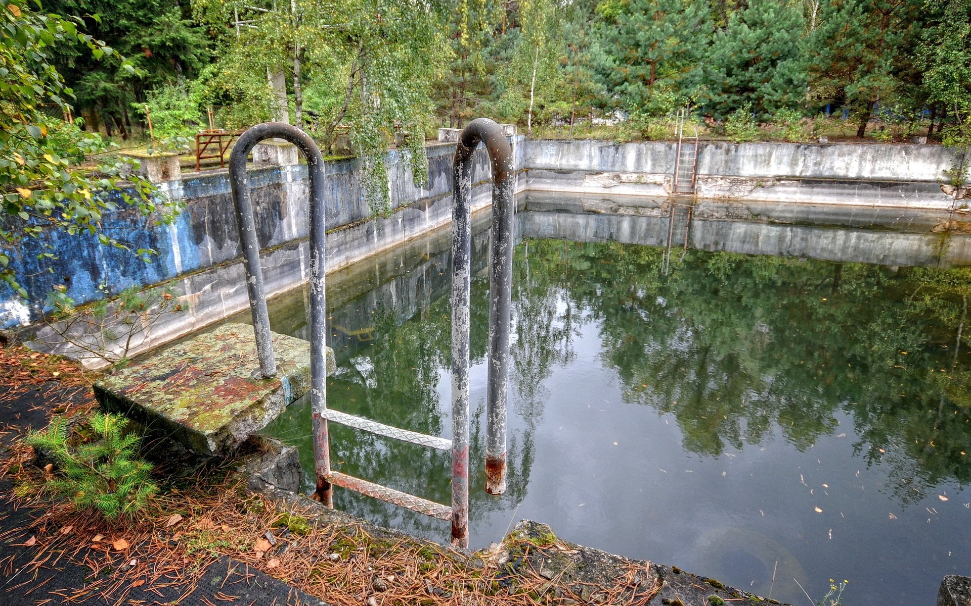 piscina deportes fondo