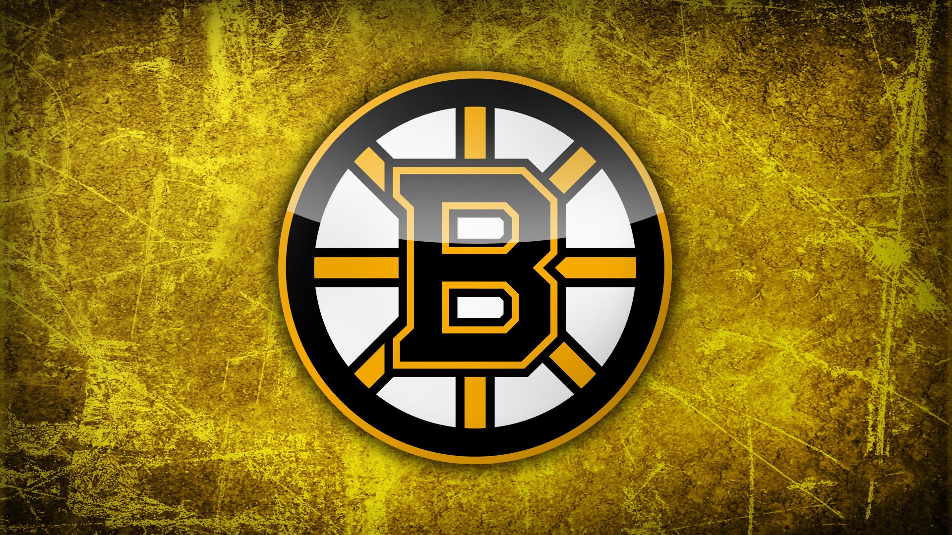 nhl boston bruins