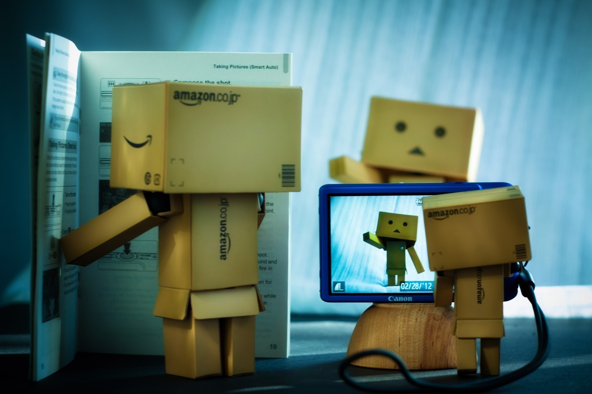 danbo the camera toy