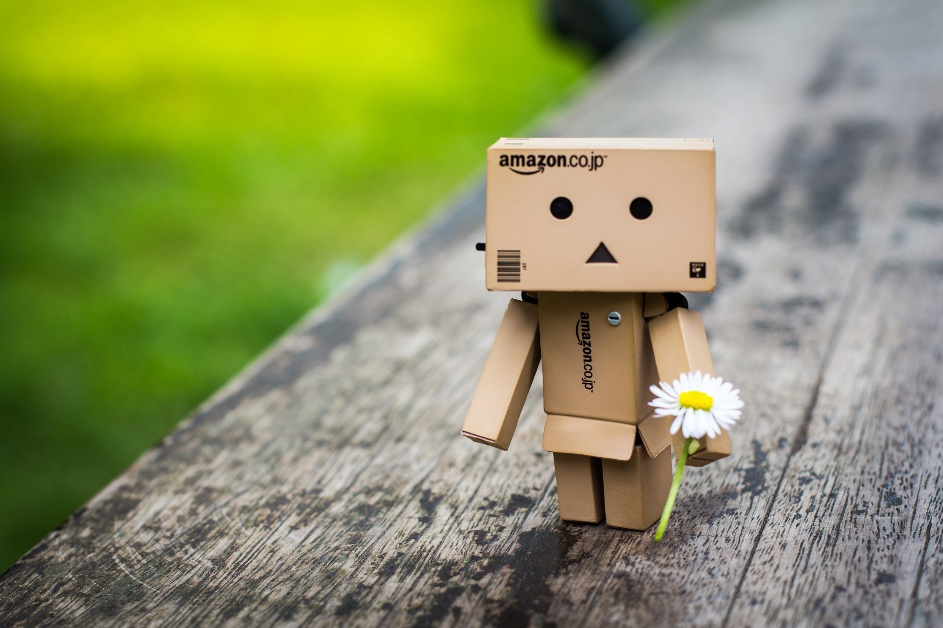 danbo madera flor