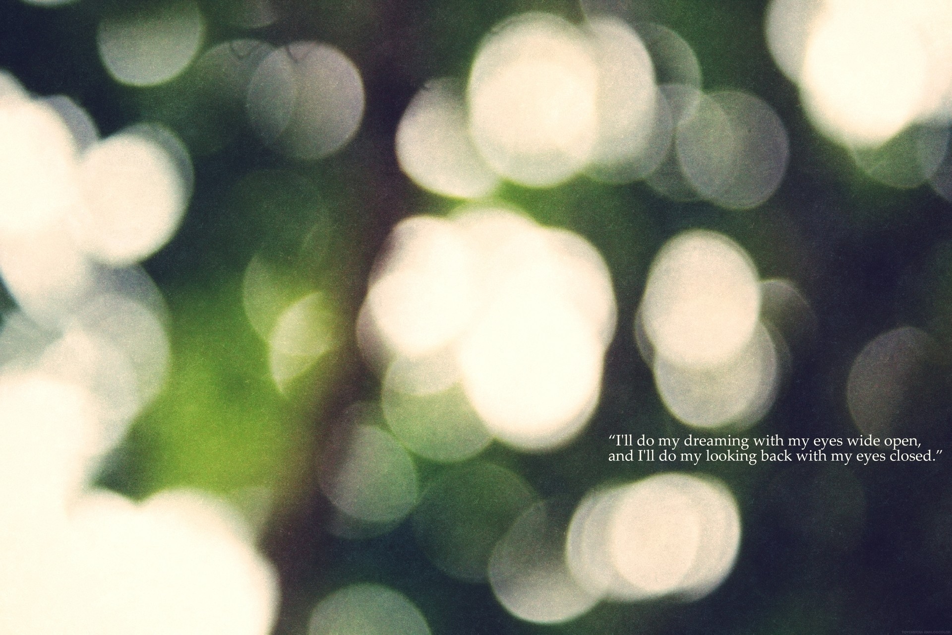 dream bokeh tree