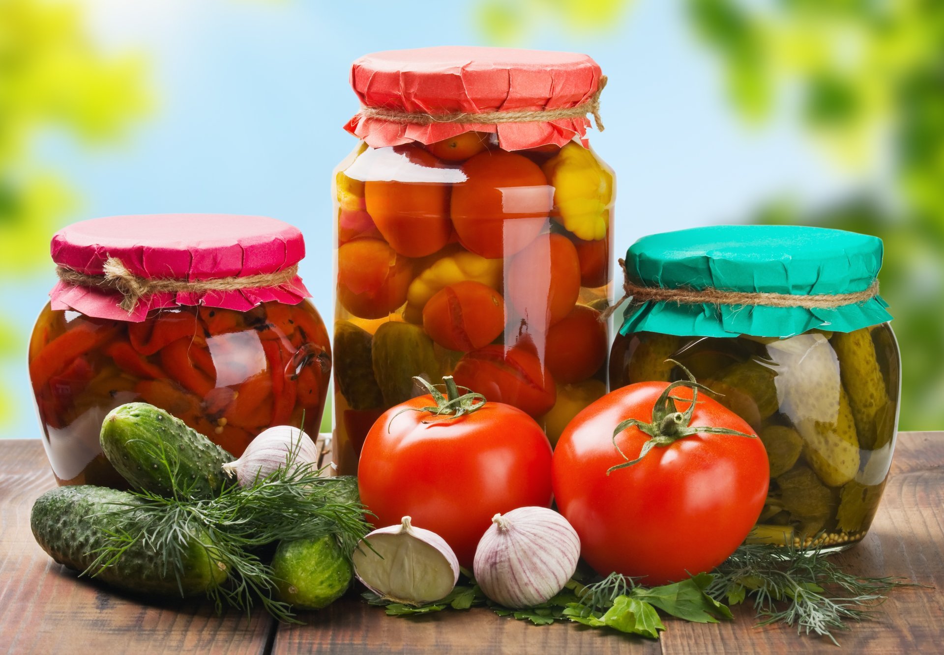 enrollado latas pepinos tomates verduras pimientos