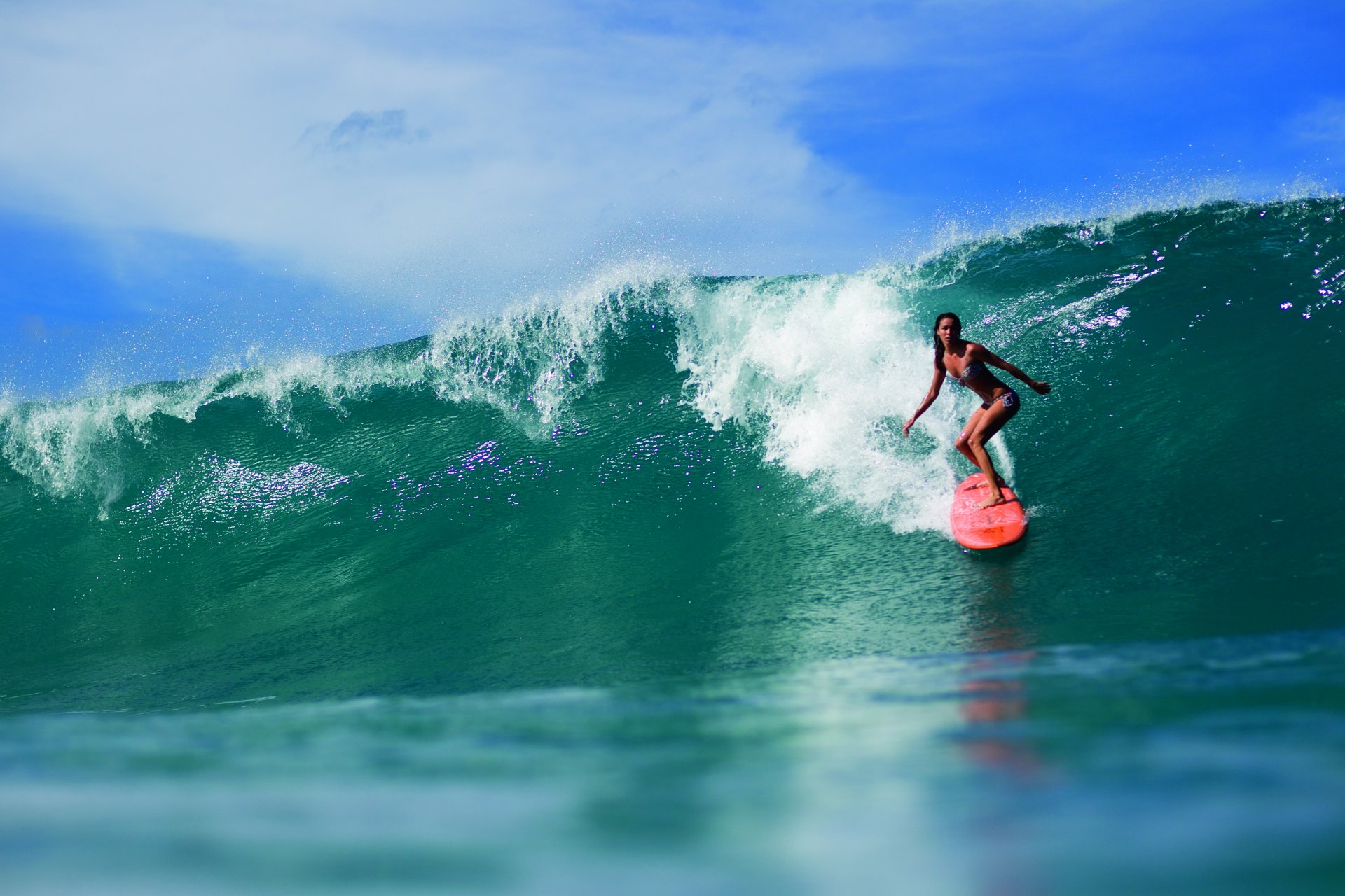 chica surf tablero deportes océano ola