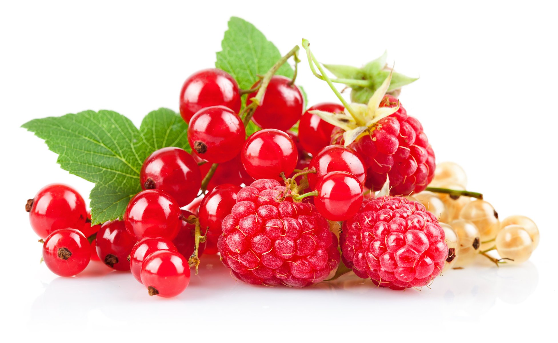 baies framboises groseilles rouges groseilles blanches