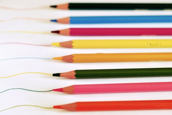 Huit crayons multicolores se trouvant sur fond blanc
