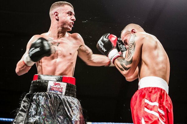 Sport two boxers in the ring