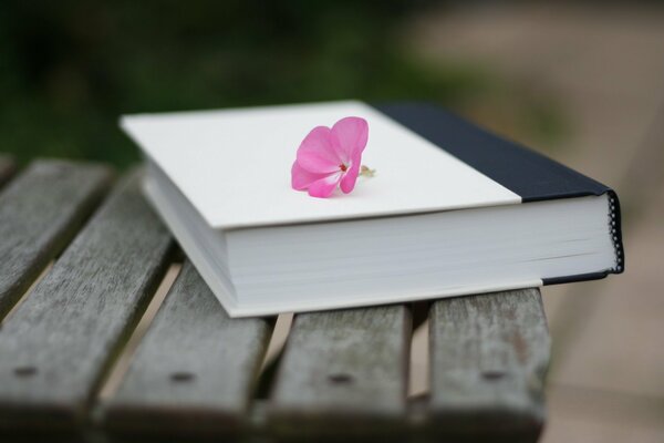 Petite fleur rose sur le livre