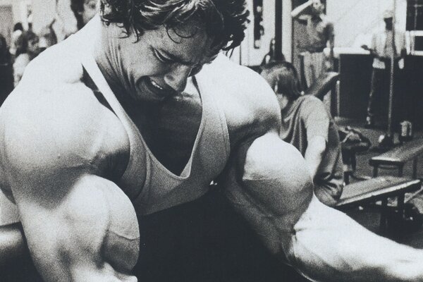 Young arnold bodybuilding photo