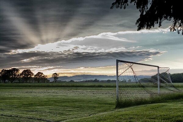 Matin champ porte nature