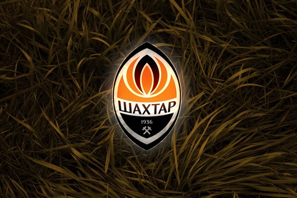 Logo sportif de feu sur fond d herbe