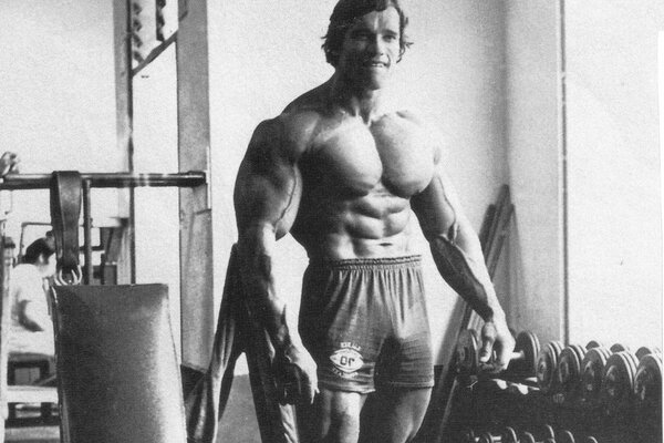 Jeune Schwarzenegger. Corps sculptural