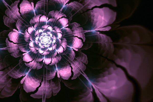 Abstrakcyjny fioletowy kwiat na czarnym tle