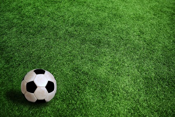 Balón de fútbol en el campo verde