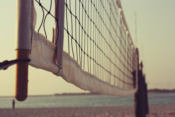 Und wir werden das Volleyballnetz ziehen und diesen Sommer machen