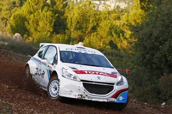 El Peugeot 208 arrasa la pista de carreras