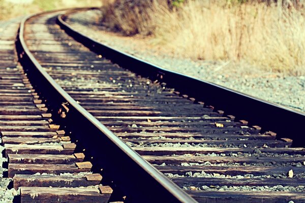 Railway and yellow grass