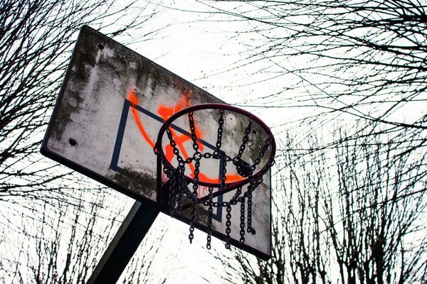 Basketball shield against the sky