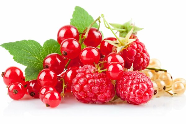 Vitaminladung. Natürliche Vitamine aus dem Garten. Garten Beeren. Helle Farben des Sommers. Fülle an Farben