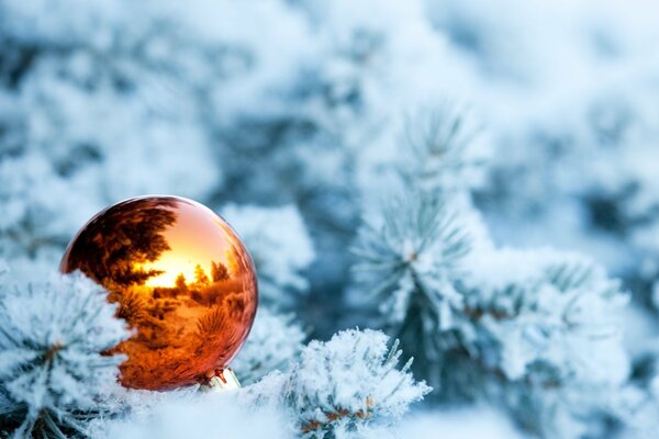 Weihnachtsbaum Spielzeug auf schneebedeckten Ästen im Winter