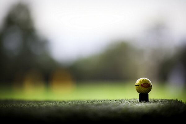 Ball auf dem Golfplatz Hintergrund