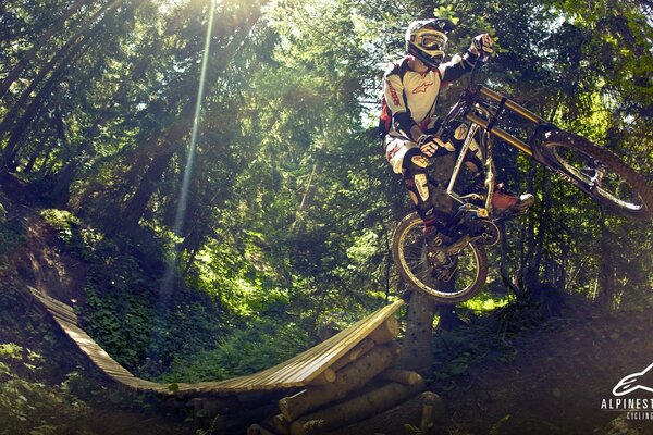 Hindernisse im Wald mit dem Fahrrad, Stunts