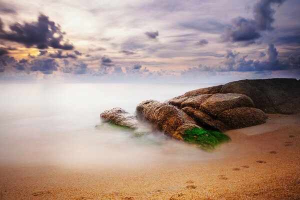Niebla espesa en una playa de arena y roca