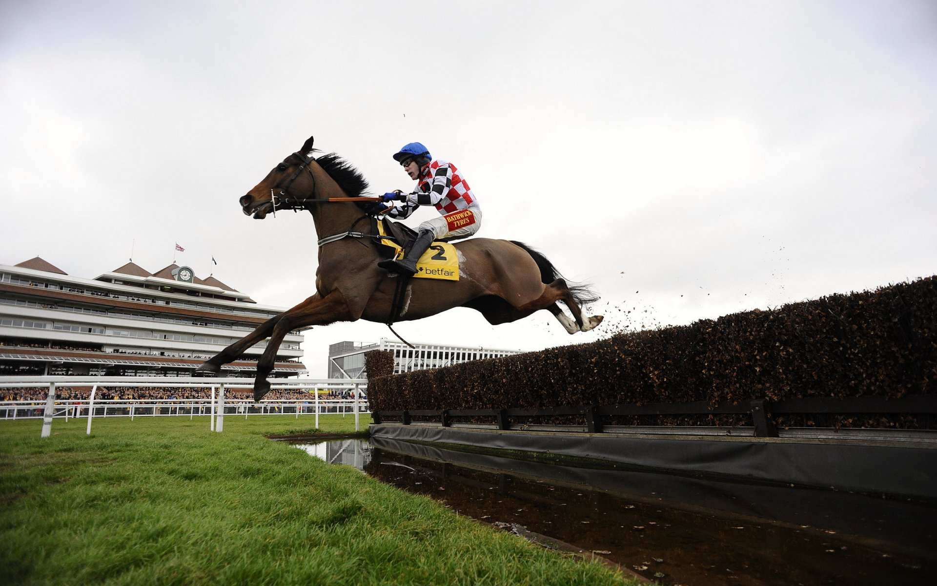 sport cavalier cheval saut