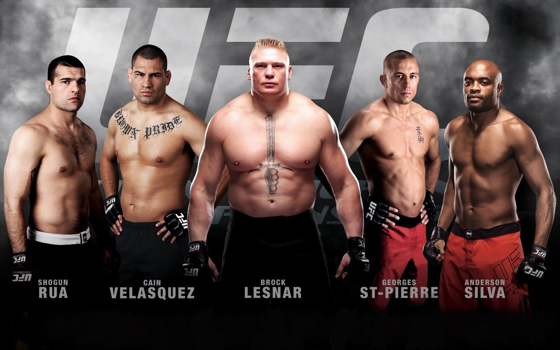 ufc arts martiaux mixtes combattants kane velázquez anderson silva georges st-pierre mauricio rua brock lesnar champions