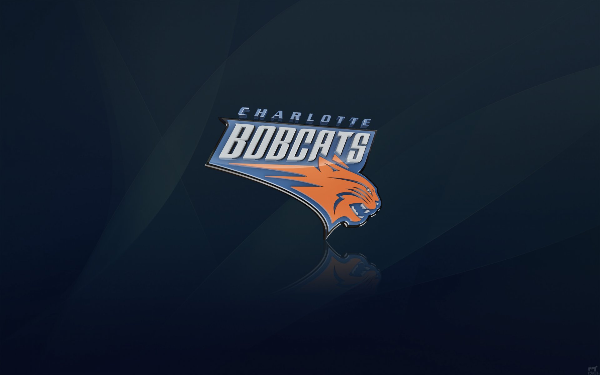 charlotte bobcats nba koszykówka logo tło koty charlotte karolina północna niebieski