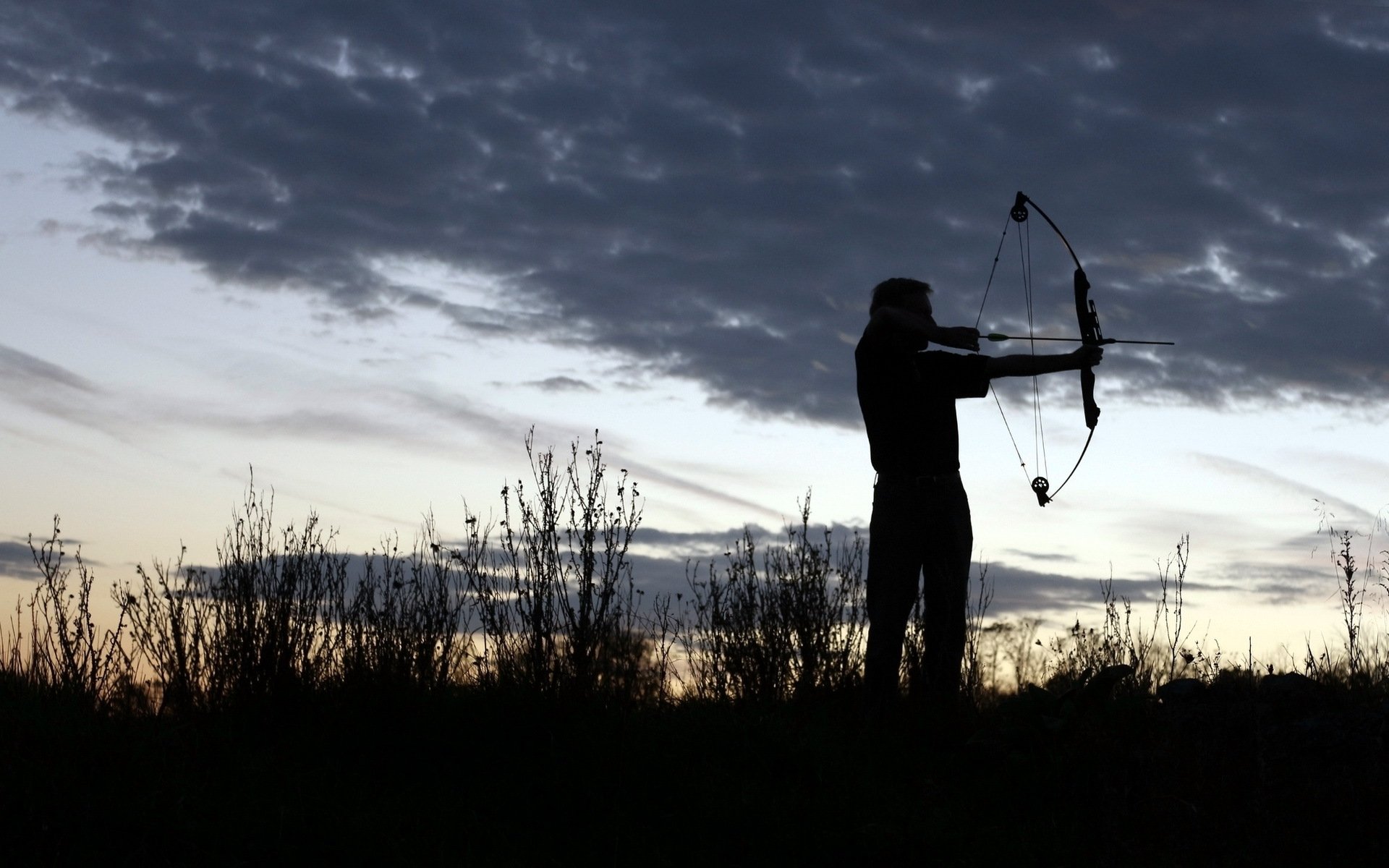 torment silhouette sport