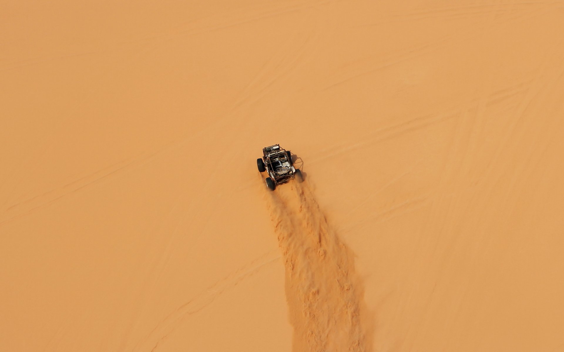 bugs sand desert rally