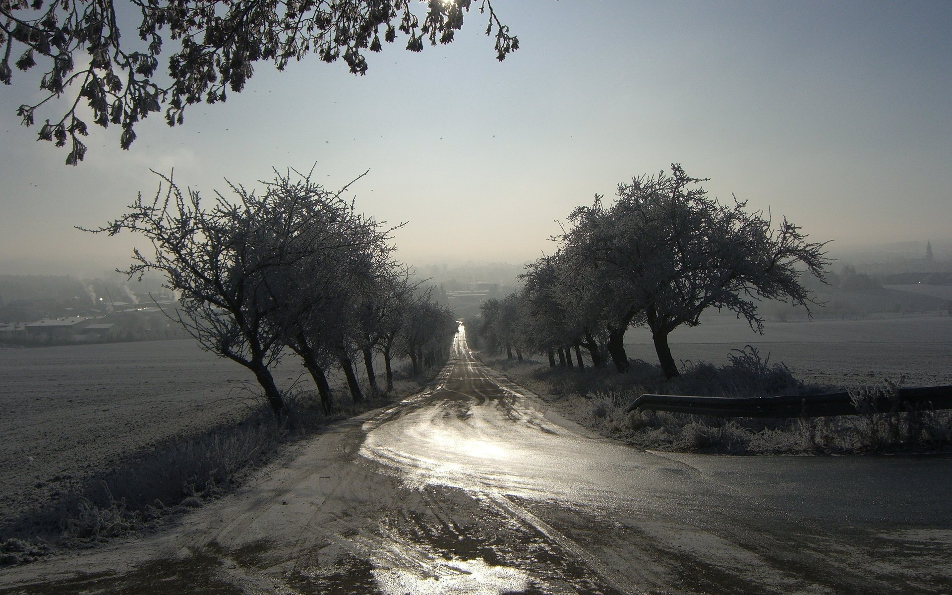 morgen landschaft nebel straße