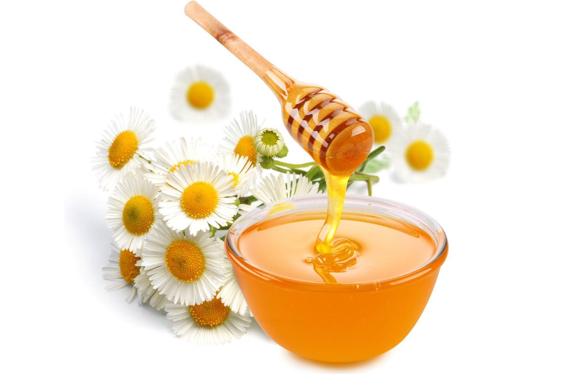 flowers honey white background spoon chamomile bowl