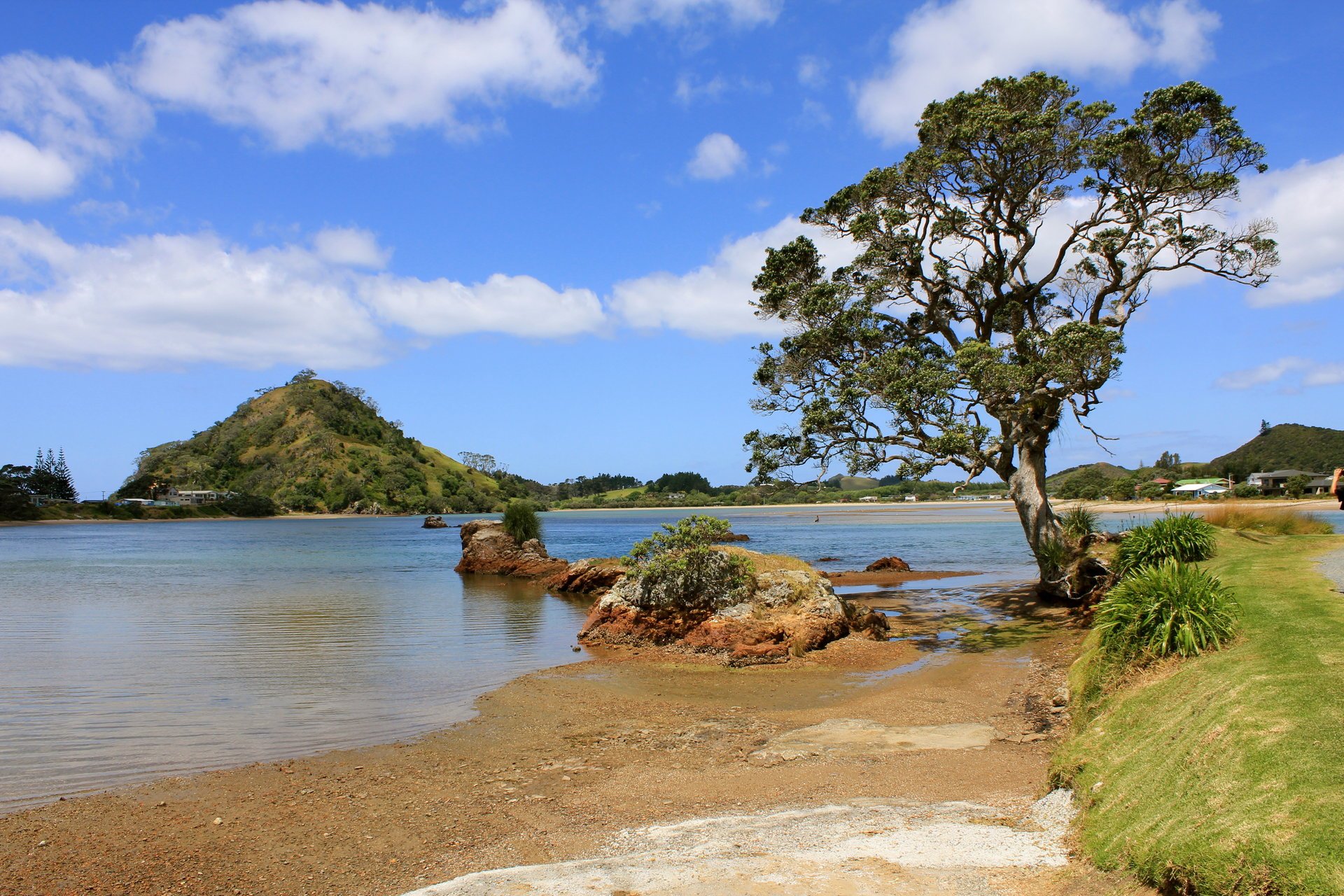 tree sand clouds river lake grass hills stone