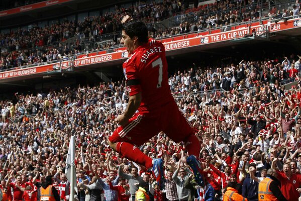 Suarez s winning goal 2012